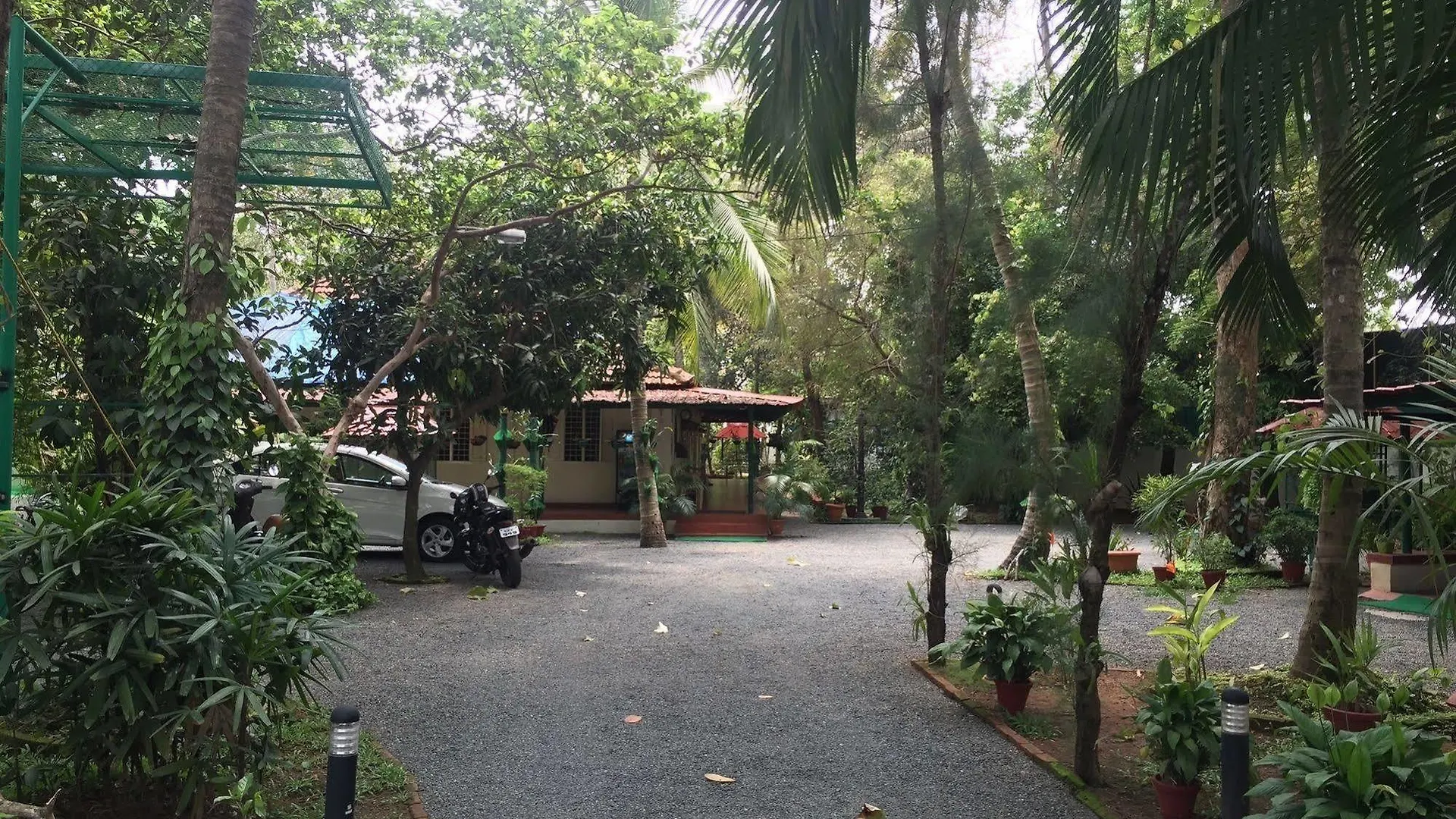 Palm Grove Service Villa Kochi Bed & Breakfast