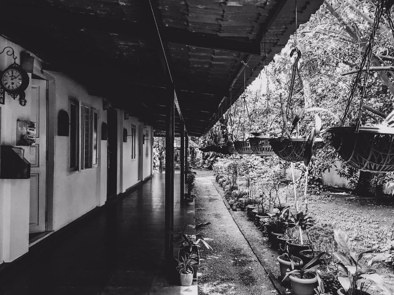 ** Bed & Breakfast Palm Grove Service Villa Kochi Indien
