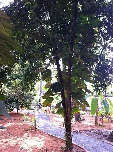 Palm Grove Service Villa Kochi 2*,  India