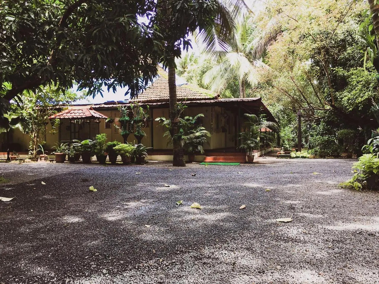 Palm Grove Service Villa Kochi India
