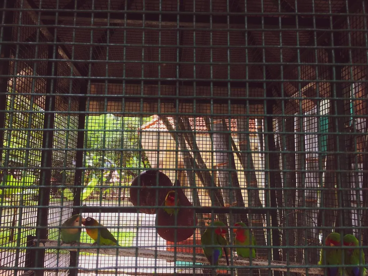 Palm Grove Service Villa Kochi 2*,  India