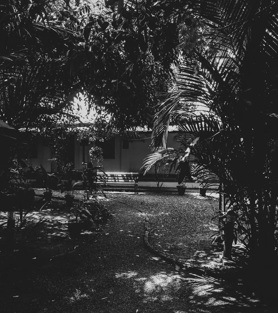Bed & Breakfast Palm Grove Service Villa Kochi