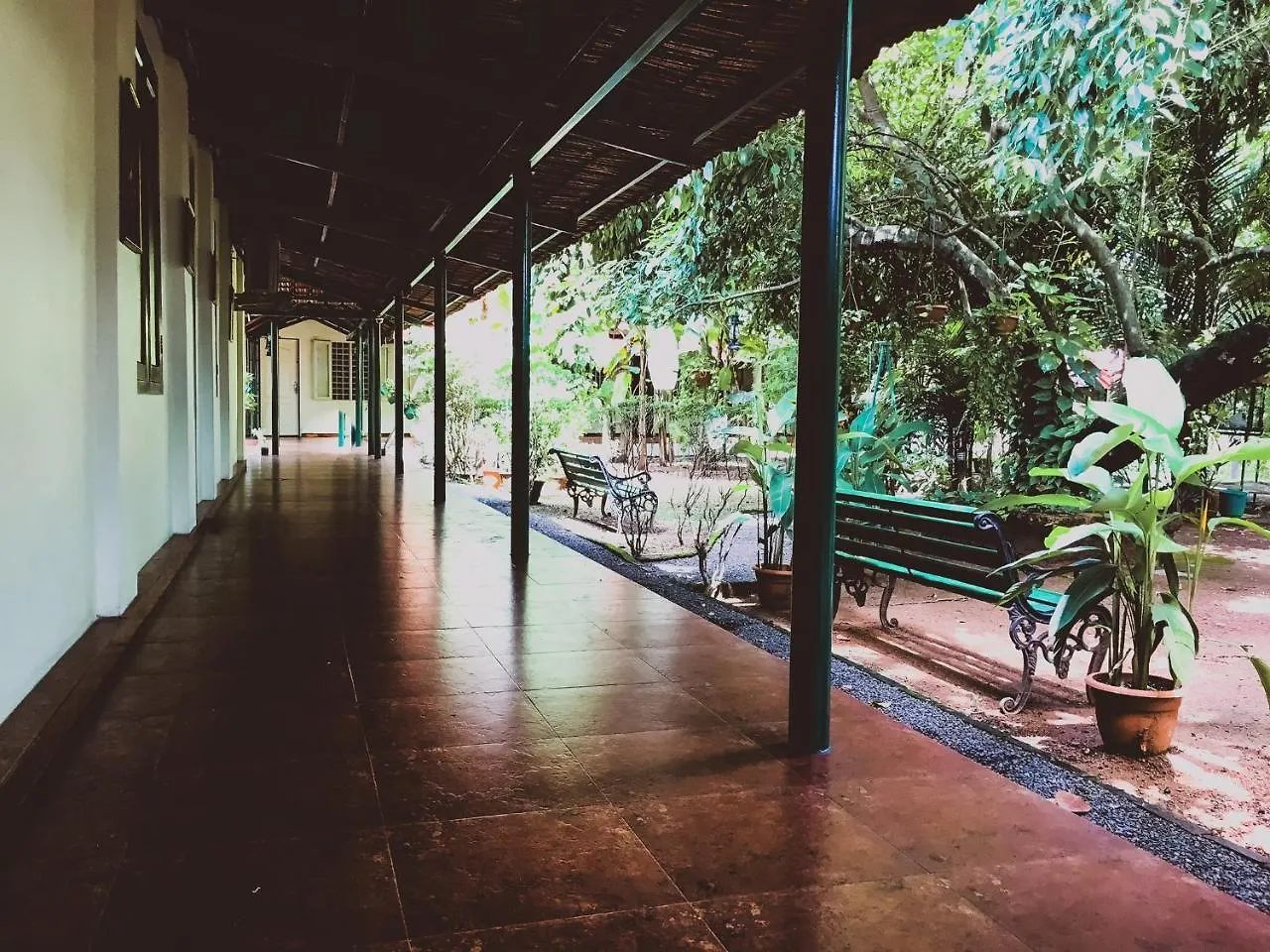 ** Bed & Breakfast Palm Grove Service Villa Kochi India