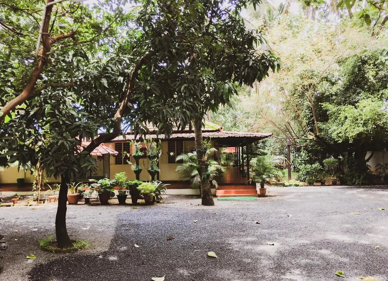 Palm Grove Service Villa Kochi