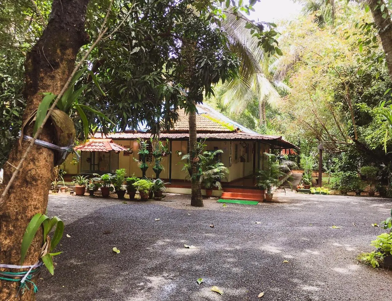 Palm Grove Service Villa Kochi Bed & Breakfast